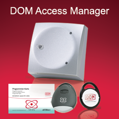 DOM AccessManager